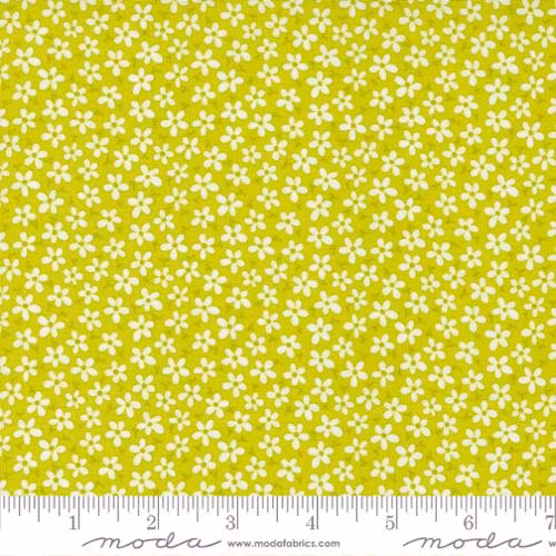 Sweet and Plenty-grønn med hvite små blomster