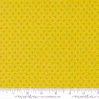 Strawberry Lemonade-rosa med røde blomster