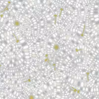 Summerstone-COBBLESTONE