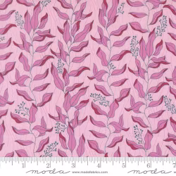 Legendary Love Lilac