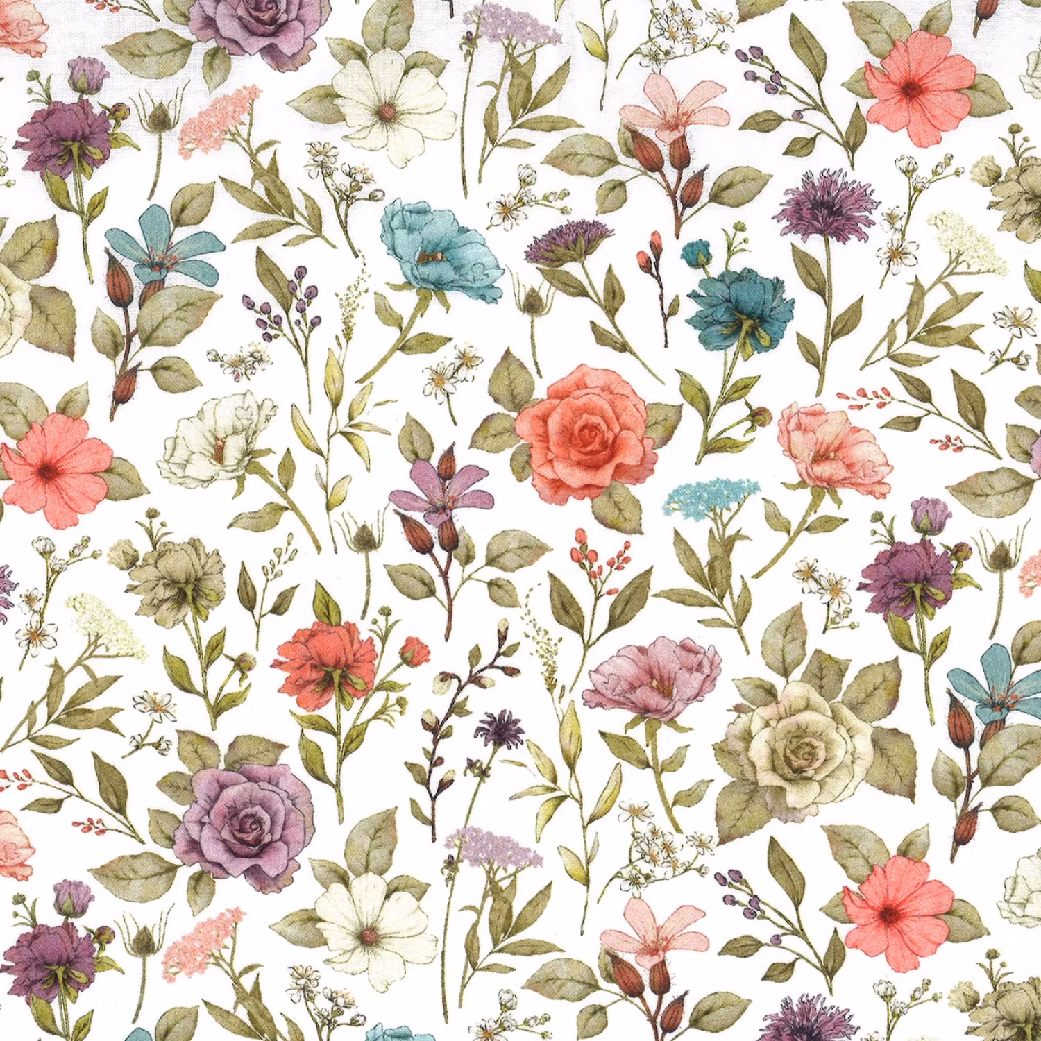 Bear Flower-blomster