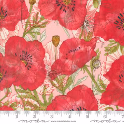 Superbloom-Rosa med røde valmuer