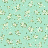 Tula Pink-True Color -peppermint