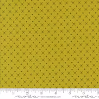 Moda-Color Crush Lime