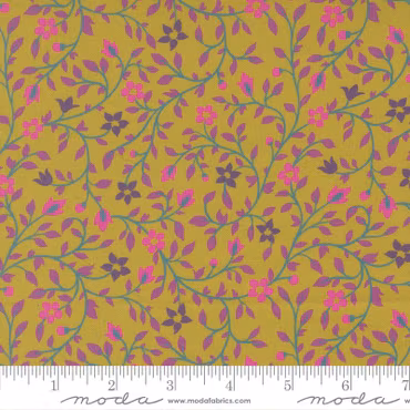 Parlor -Serenity Pesto