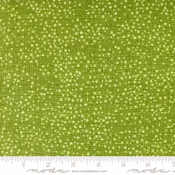 Dotty Thatched Grass