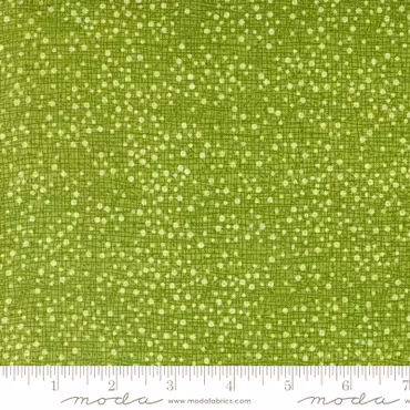 Dotty Thatched Grass