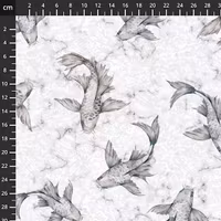 Hikari- Koi fisk grå