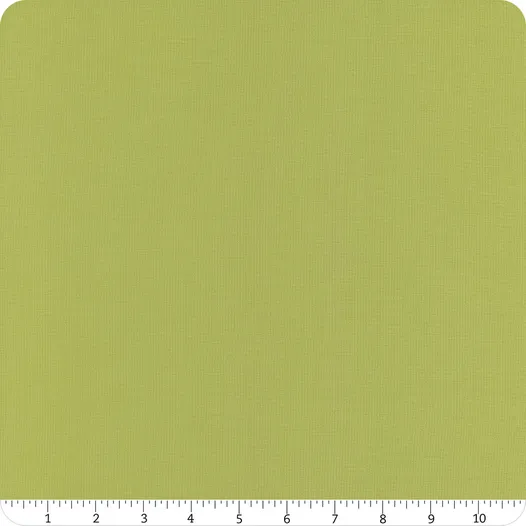 Bella Solids Fern