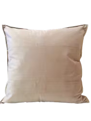 Kuddfodral Sammet Ljusgrå -  45 x 45 cm