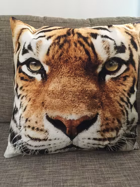 Kuddfodral & Prydnadskuddar med djurmotiv tiger utan innerkudde / 45X45 cm