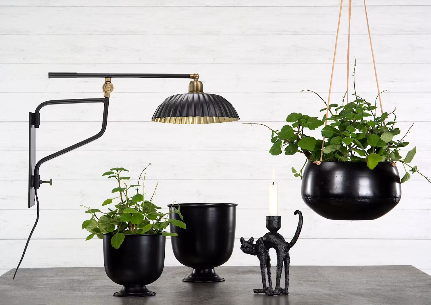 LJUSSTAKE KATT SVART/BRUN