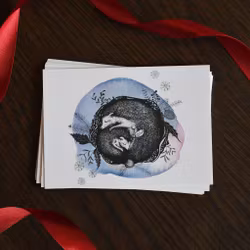 Barndiabetesfondens Julkort 10-pack