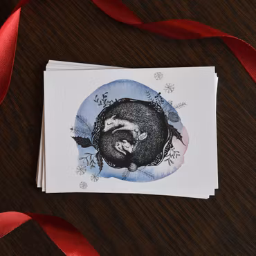 Barndiabetesfondens Julkort 10-pack