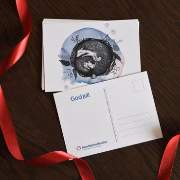 Barndiabetesfondens Julkort 10-pack