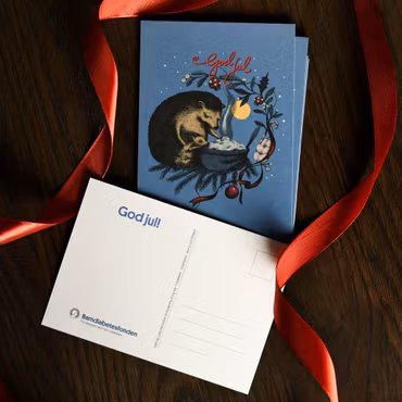 Barndiabetesfondens Julkort 2024 10-pack