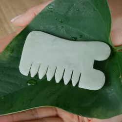 Gua Sha - hårbottenvårdande kam