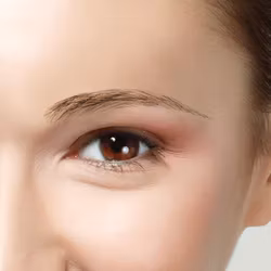 Lösögonbryn i äkta hår, style 10