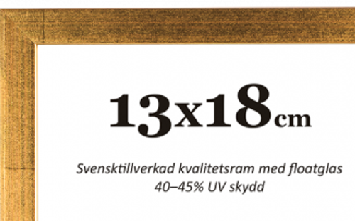 Guld smal ram