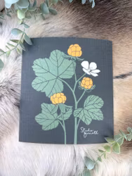 DISKTRASA HJORTRON STILISERAD