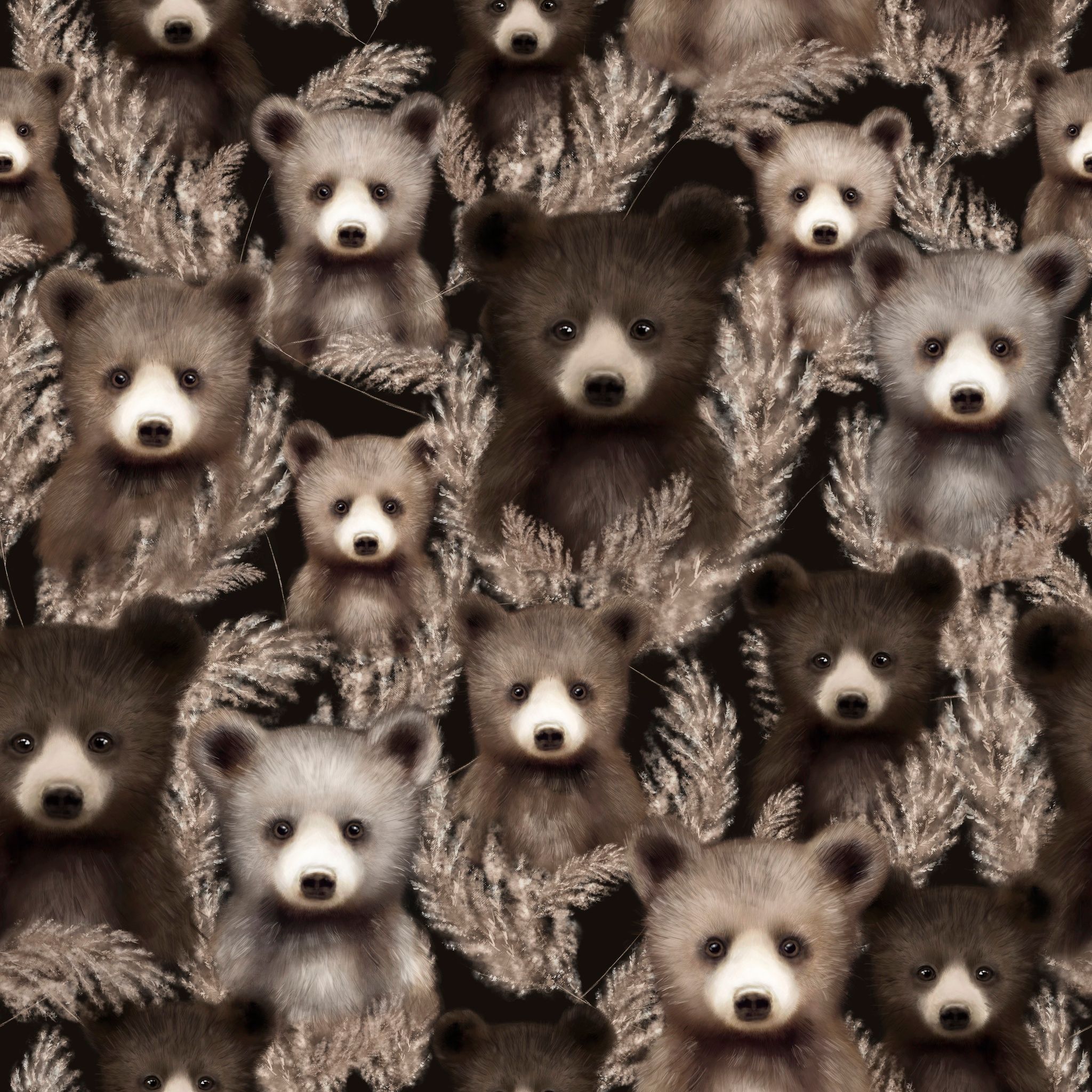 Pampabears big