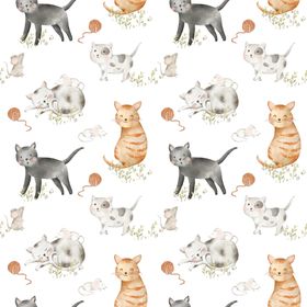 Katt jersey