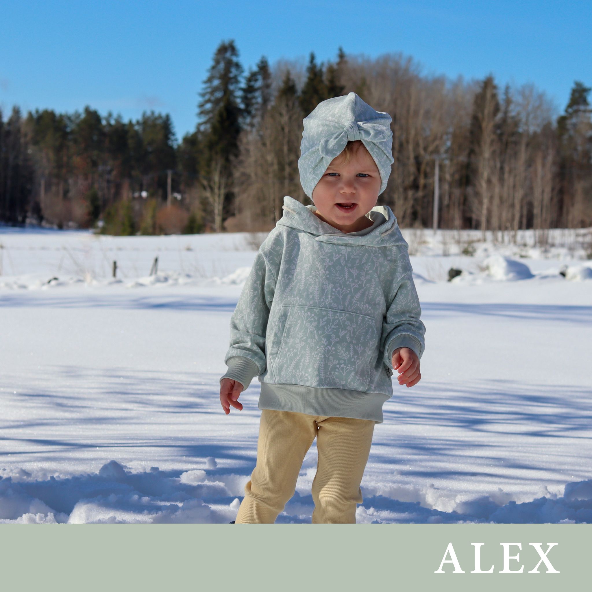 ALEX