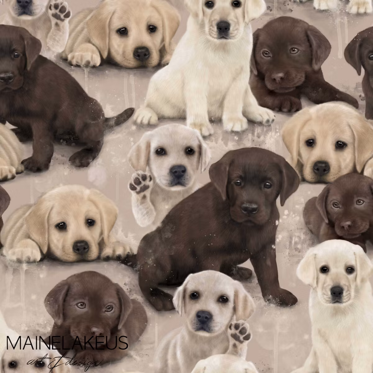 Labradors