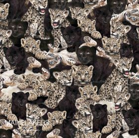 Wild cubs