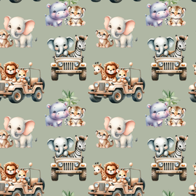 Safari on the road jersey
