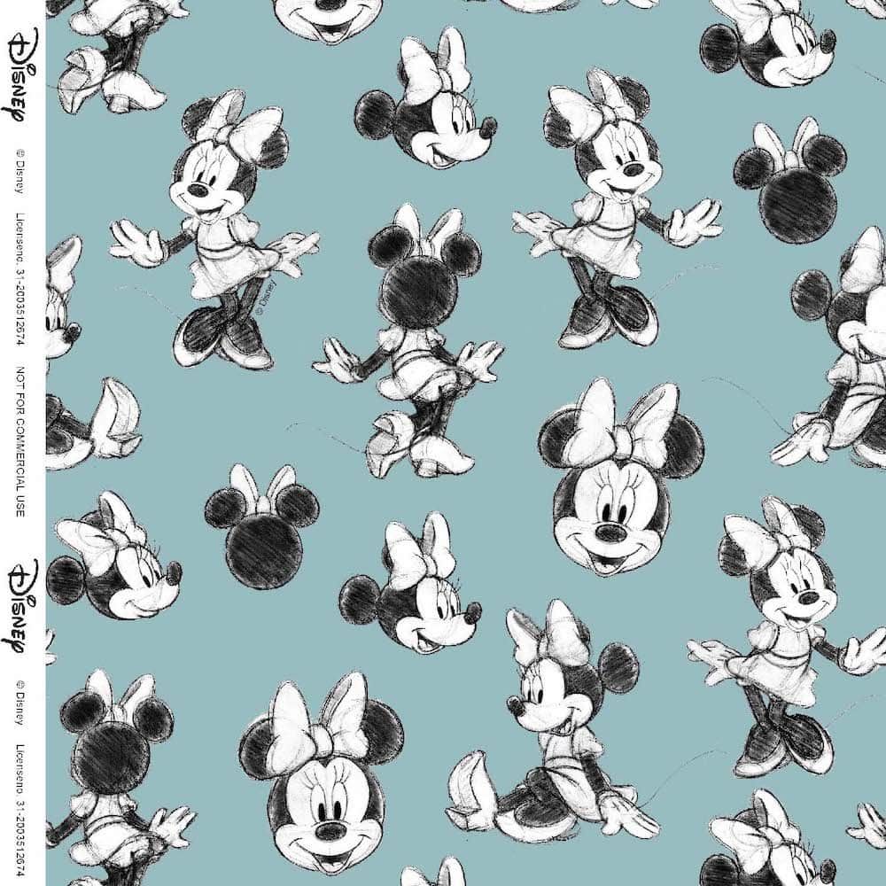 Minnie Mouse jersey