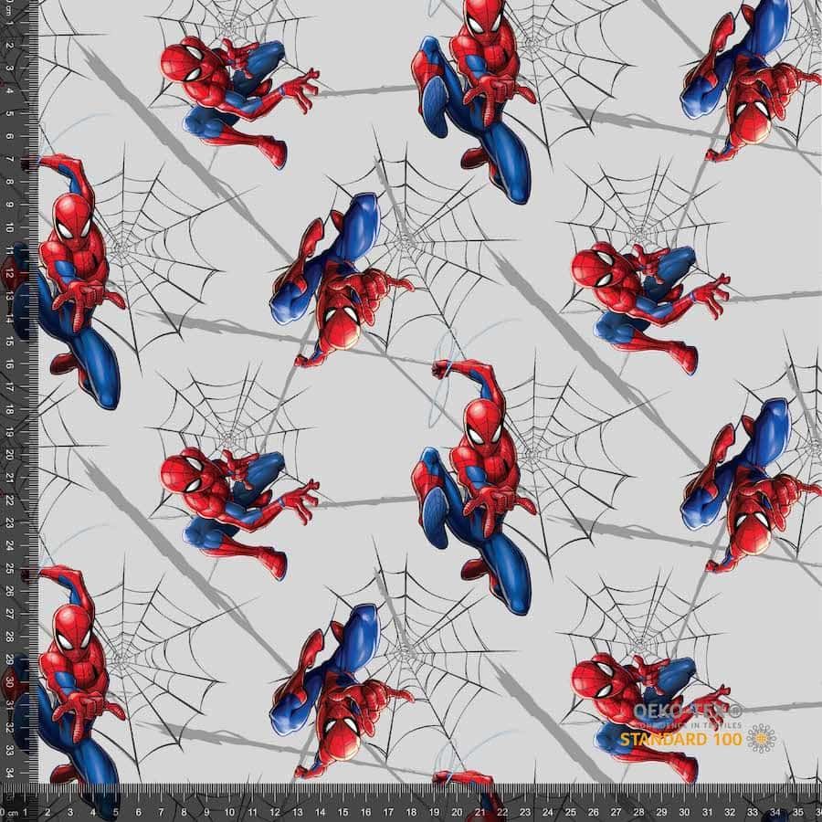 Spider-Man Isoli