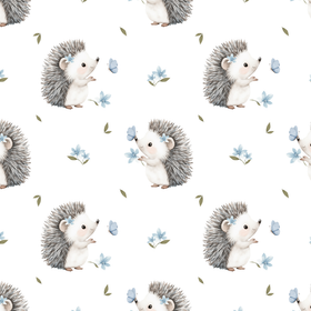 Girly hedgehog jersey