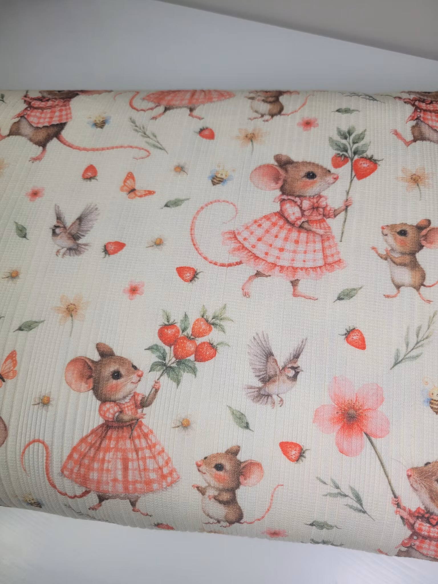 Mus med jordbær uregelmessig ribbjersey