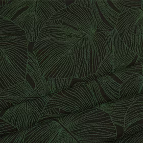 Merinoull Monstera