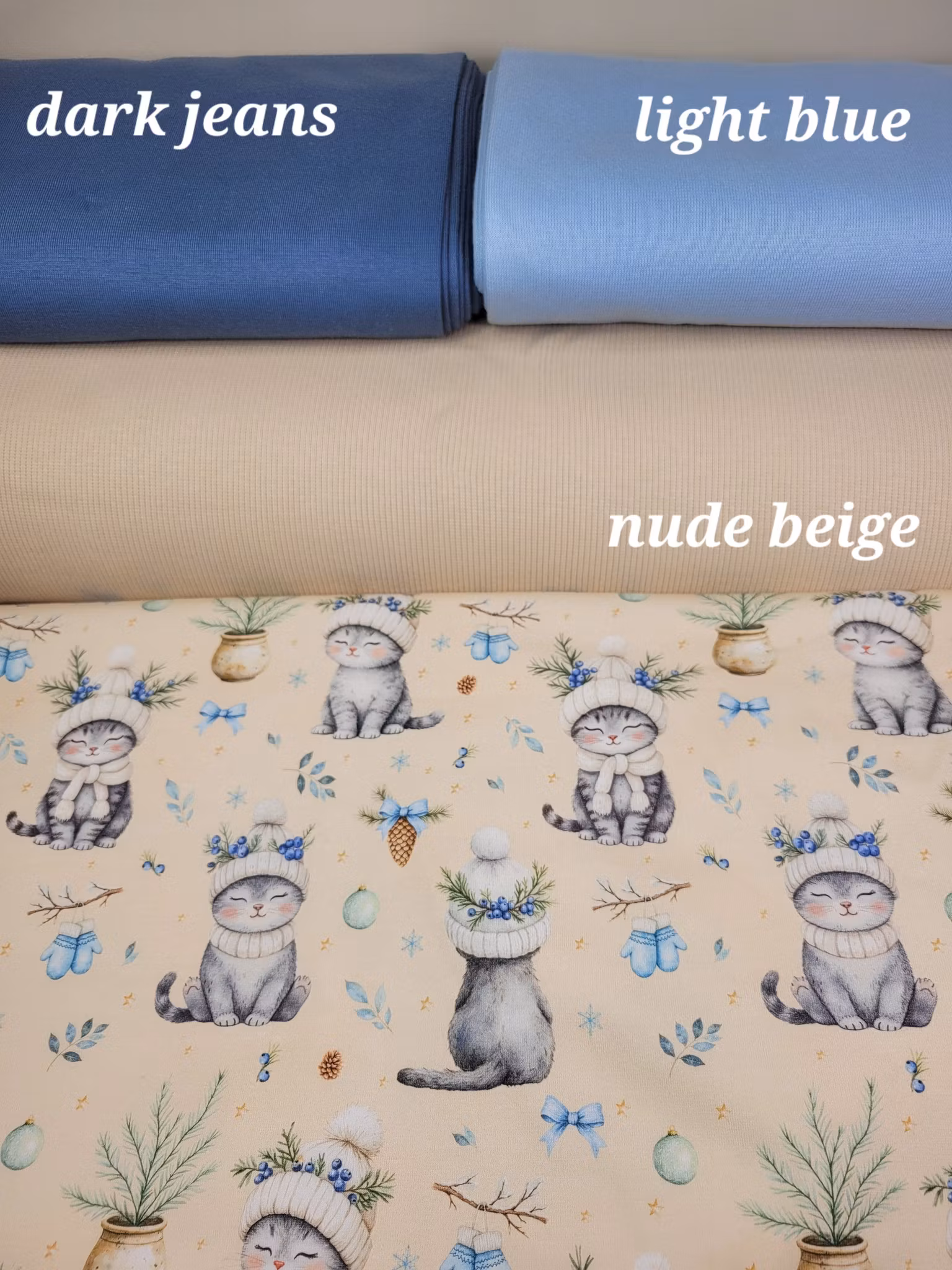 Winter cozy cat jersey