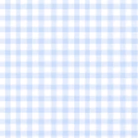 Ruter blå Bomulls Poplin