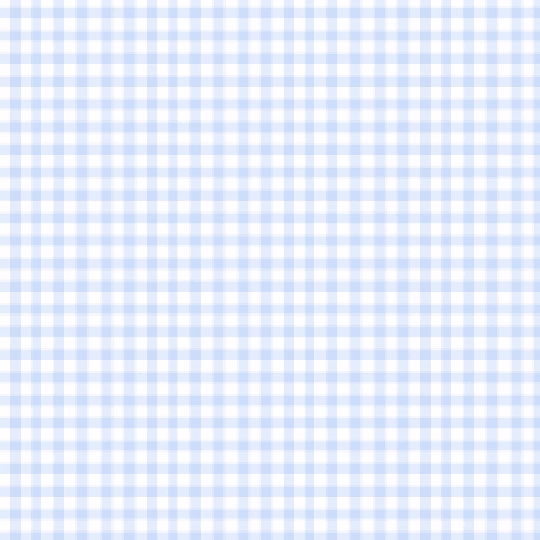 Ruter blå Bomulls Poplin