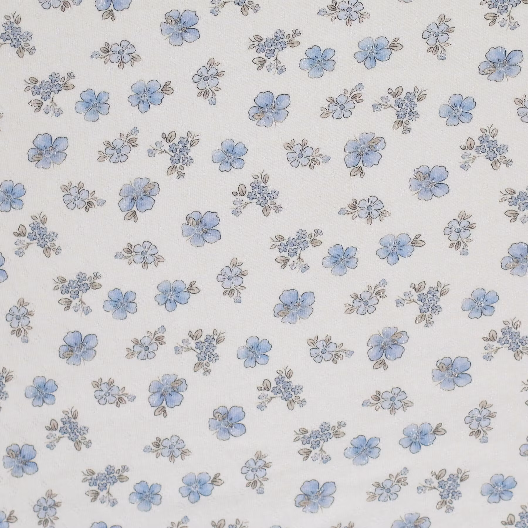 Forget me not pointelle