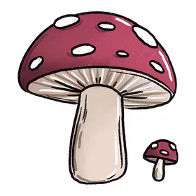 Jolly 3