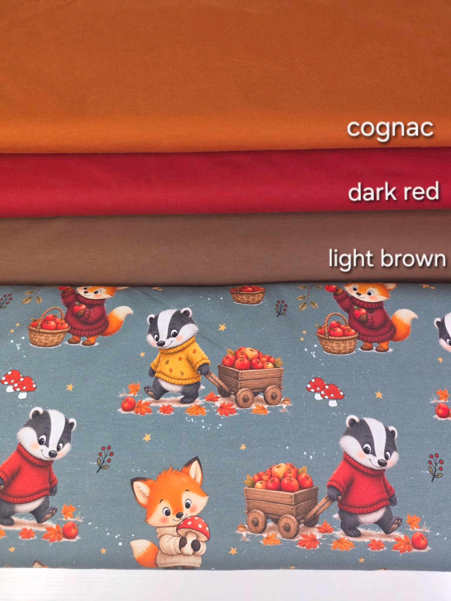 Fox And Badger jersey