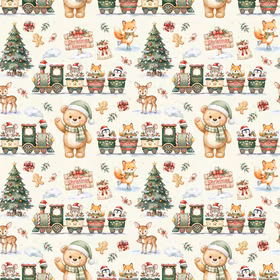 Christmas express jersey