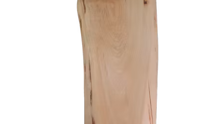 Vackert serveringsfat av björk 39x11 cm