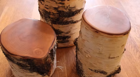 Serveringsstubbar av björk i olika storlekar