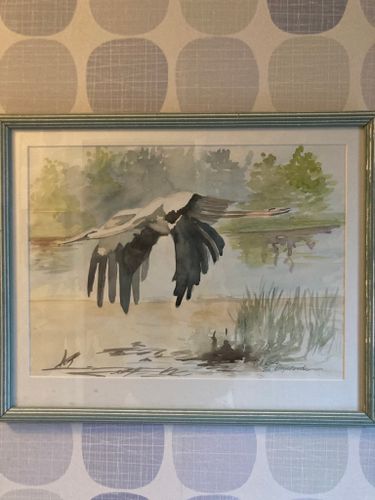 Vit stork
