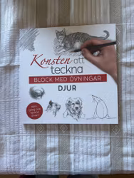 Konsten stt teckna djur