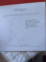 Konsten stt teckna djur
