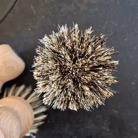 Grytborste eller rotfruktsborste