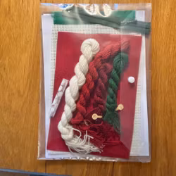 Broderikit Glasögonfodral.