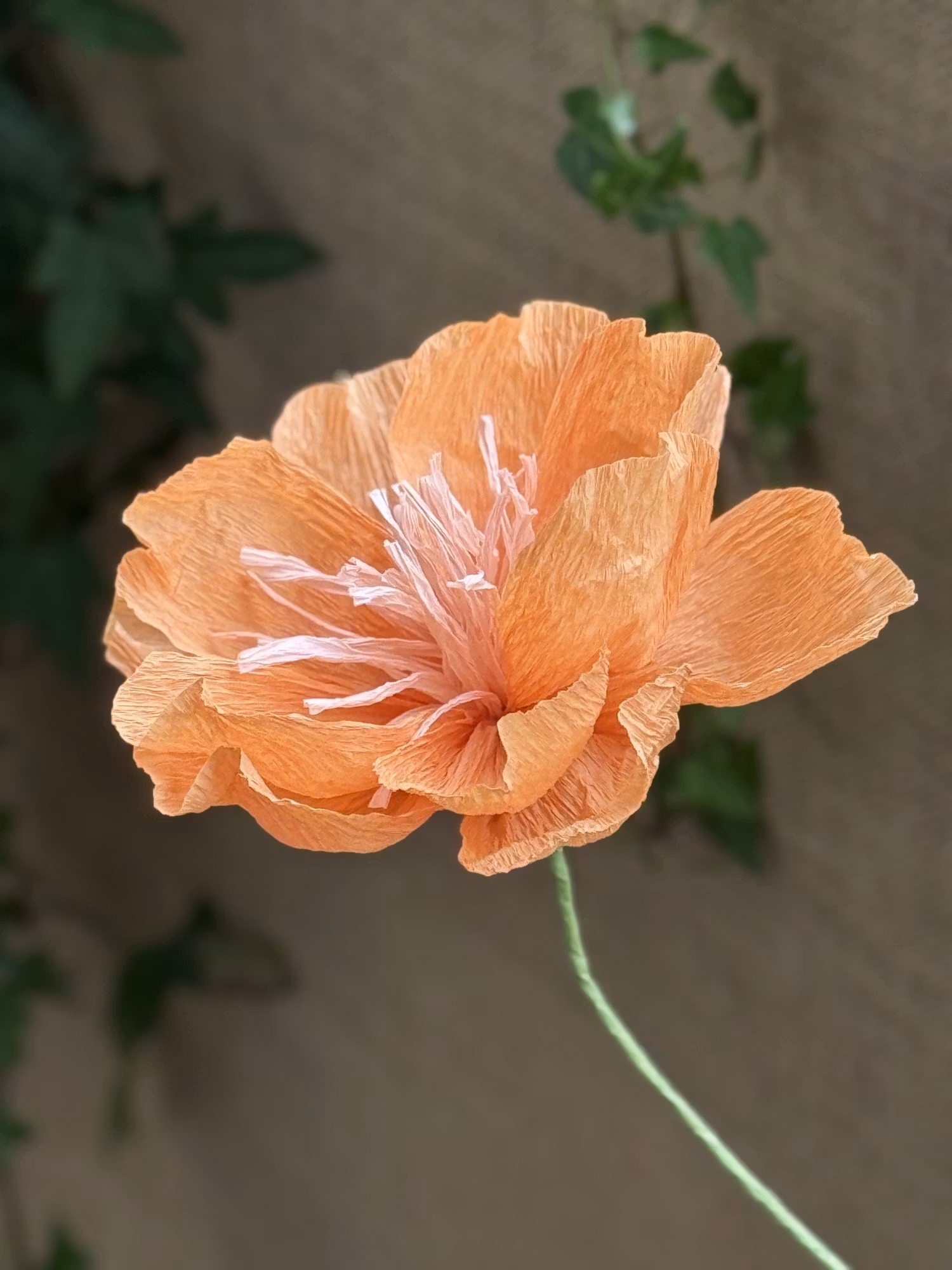 Beskrivningar kräppappersblommor - Ljuva Drömmar